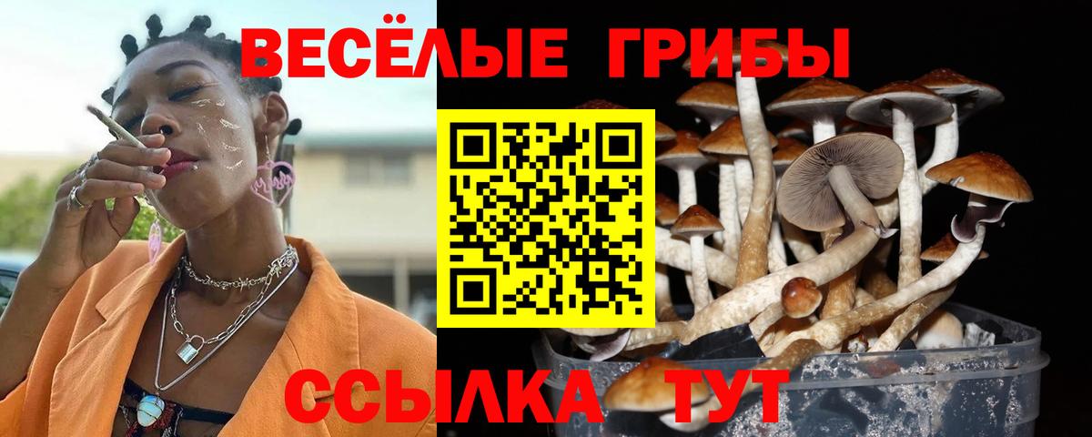 Псилоцибиновые грибы MAGIC MUSHROOMS  Вход с VPN  Прокопьевск 